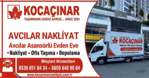 Avcılar Nakliyat